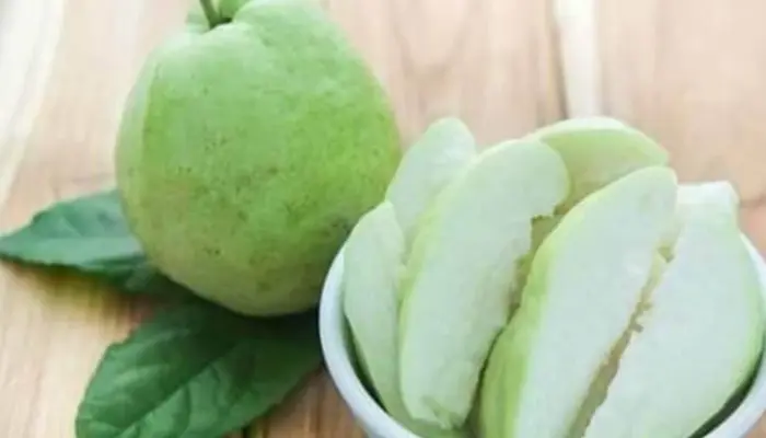 Harga Jambu Batu Sekilo Terkini di Malaysia 2026