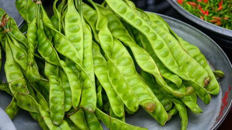 Harga Petai Sekilo