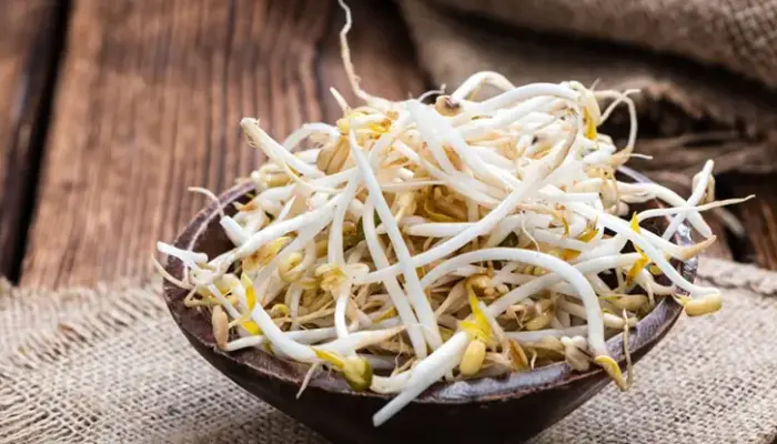 Harga Taugeh Sekilo Terkini 2026