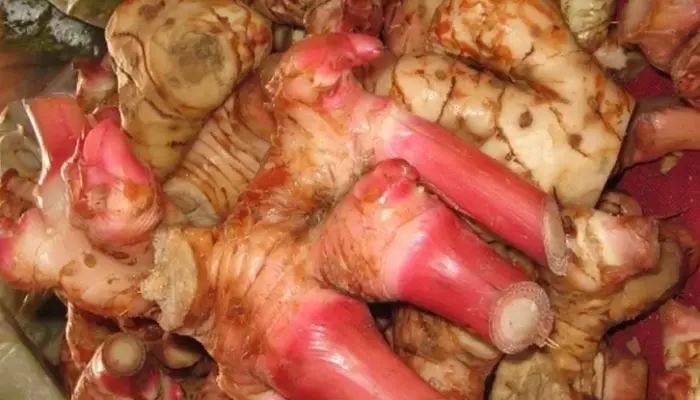 13 Khasiat Halia Bara untuk Wanita