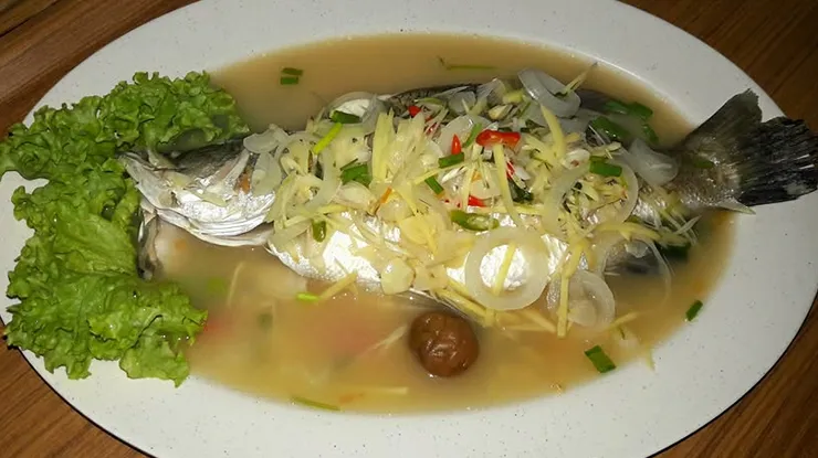 Resepi Ikan Siakap Stim Halia