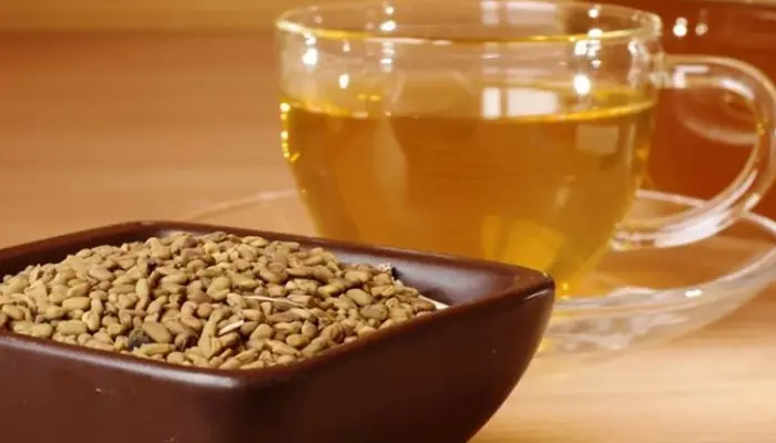 10 Keburukan Minum Air Halba dan Panduan Dos Selamat