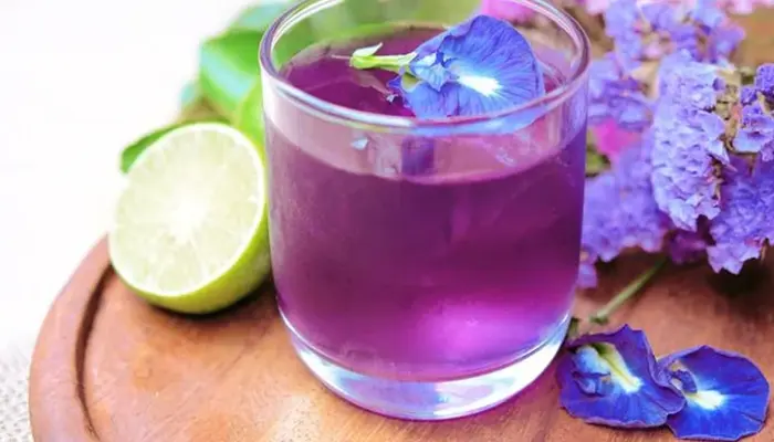 Cara Minum Bunga Telang yang Benar dan Keselamatan