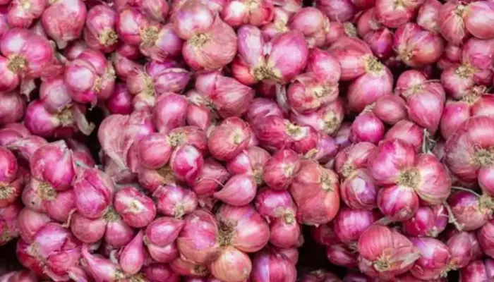 Harga Bawang Merah Sekilo Hari Ini di Malaysia 2026
