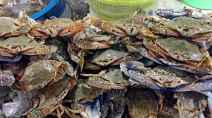 Harga Ketam Sekilo