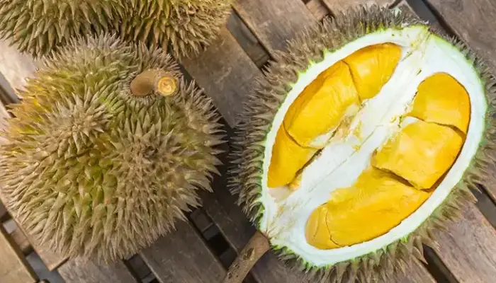 Harga Musang King Sekilo Hari Ini di Malaysia 2026