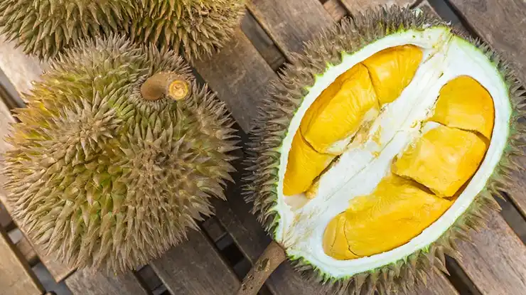 Harga Musang King Sekilo
