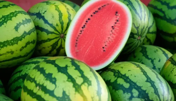 Harga Tembikai Sekilo Hari Ini di Malaysia 2026