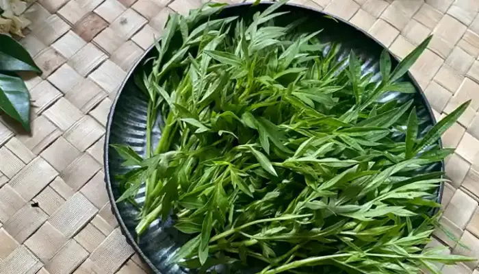 8 Keburukan Ulam Raja, Penting untuk Tahu!