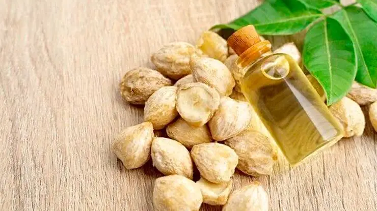 Khasiat Buah Keras untuk Muka