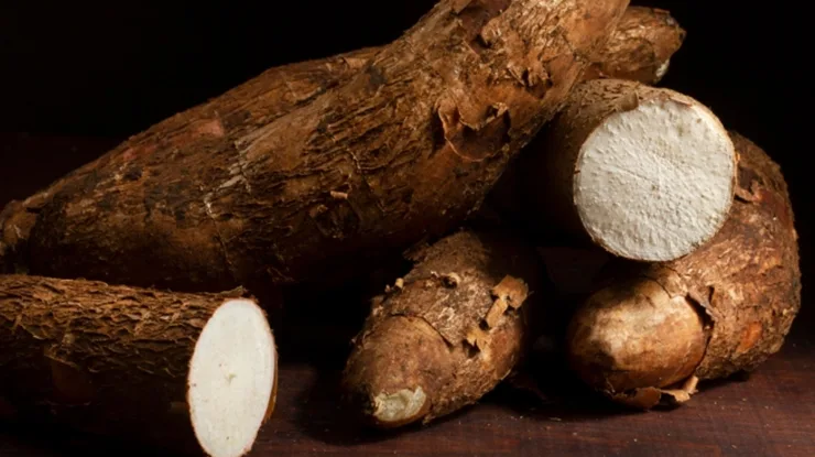 Khasiat Ubi Kayu untuk Diabetes