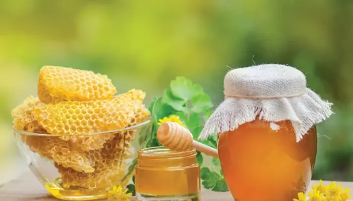 Cara Minum Madu Kelulut yang Betul, Dos dan Waktu Terbaik