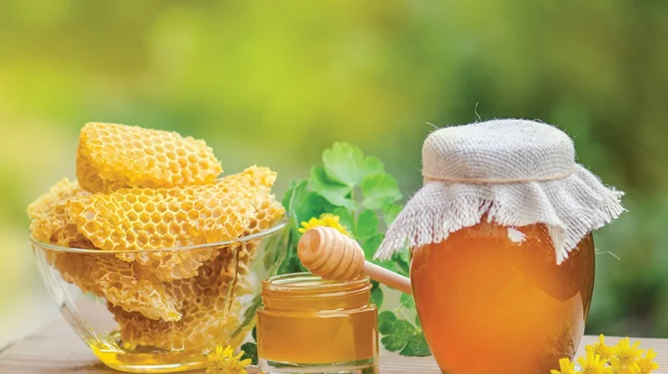 Cara Minum Madu Kelulut