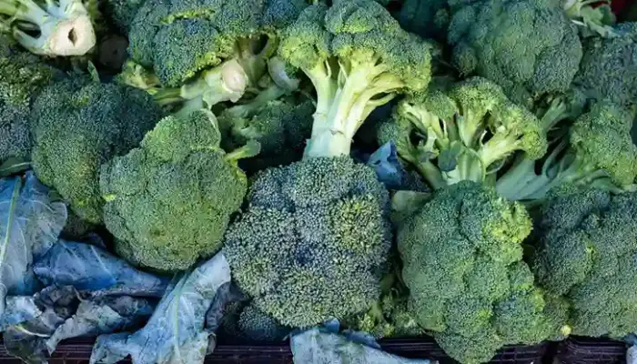 Harga Brokoli 1 Kg Hari Ini di Malaysia 2026