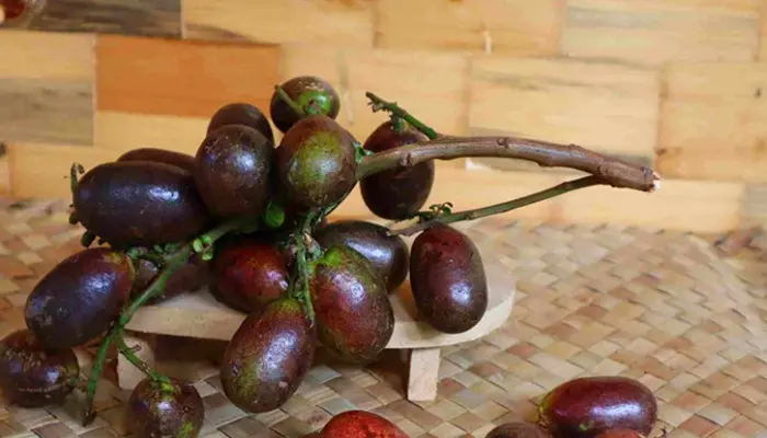 Harga Buah Matoa 1 Kg Hari Ini di Malaysia 2026