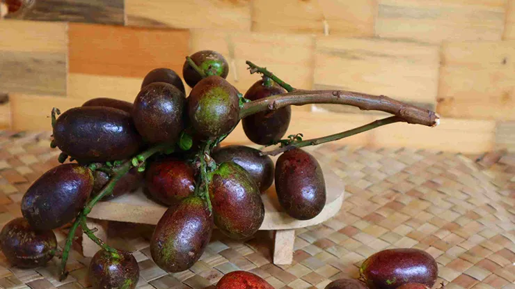 Harga Buah Matoa 1 Kg