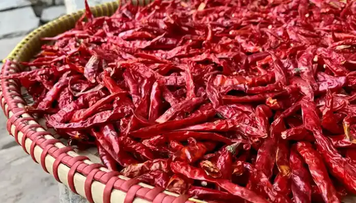 Harga Cili Kering 1 Kg Hari Ini di Malaysia 2026