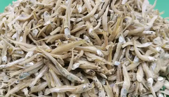 Harga Ikan Bilis Sekilo Hari Ini di Malaysia 2026