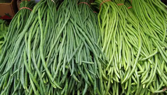 Harga Kacang Panjang Sekilo Terkini di Malaysia 2026