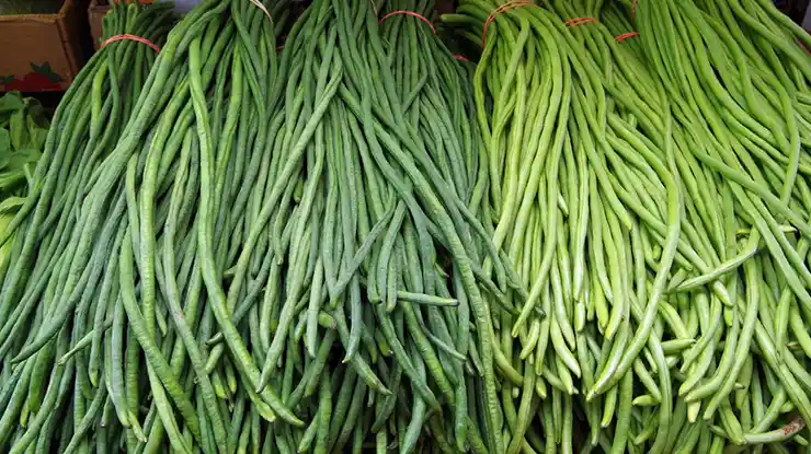 Harga Kacang Panjang Sekilo