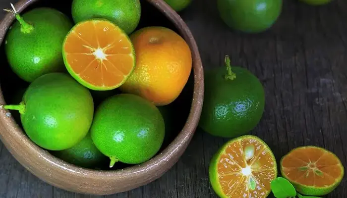 Harga Limau Kasturi 1 Kg Hari Ini di Malaysia 2026