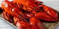 Harga Lobster Sekilo Hari Ini di Malaysia 2026