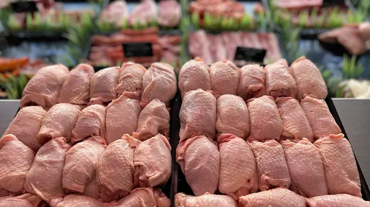 Harga Paha Ayam 1 Kg