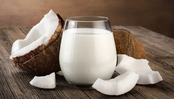 Harga Santan Sekilo Terkini di Malaysia 2026