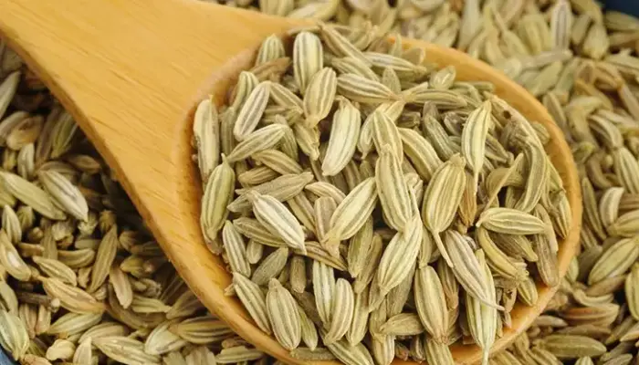 8 Keburukan Jintan Manis dan Cara Penggunaan Selamat