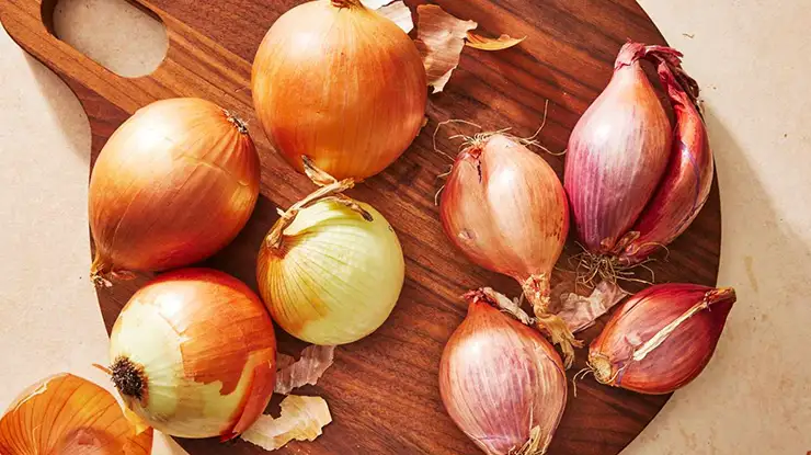 Beza Bawang Merah dan Bawang Besar