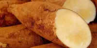 Cara Makan Ubi Yacon yang Betul dan Kekerapan