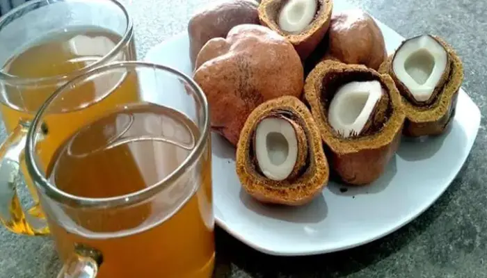Cara Minum Buah Zuriat yang Betul, Dos dan Waktu