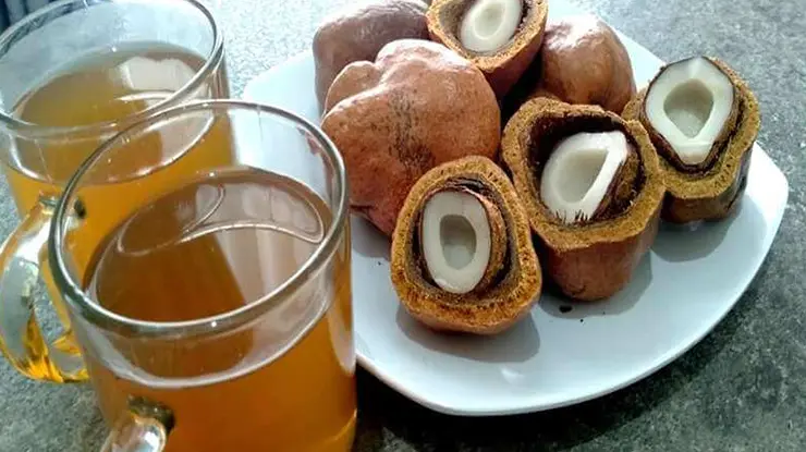 Cara Minum Buah Zuriat