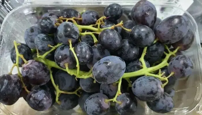 Harga Anggur Sekotak Terkini di Malaysia 2026