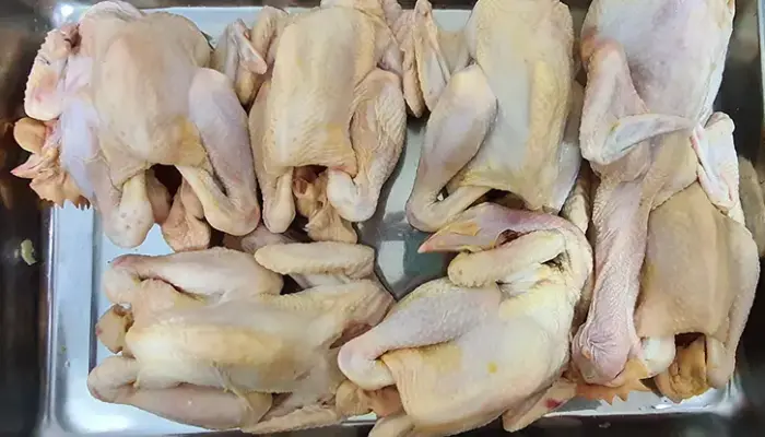 Update Harga Ayam Kampung Sekilo Terkini 2026