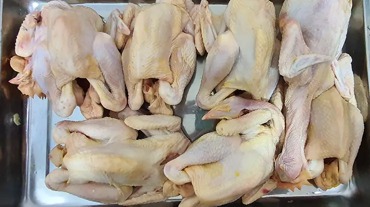 Harga Ayam Kampung Sekilo