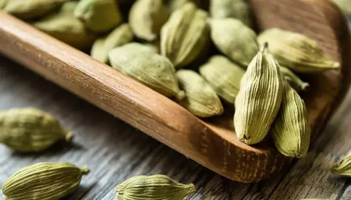 Harga Buah Pelaga Terkini di Malaysia 2026