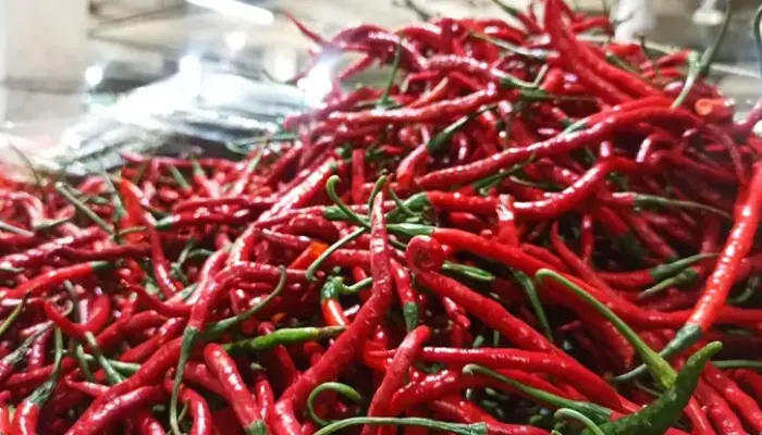 Harga Cili Merah 1 Kg Terkini di Malaysia 2026