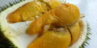 Harga Durian IOI Sekilo Terkini di Malaysia 2026