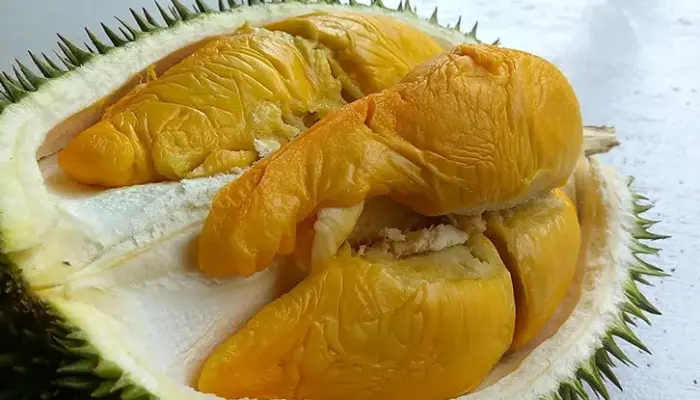 Harga Durian IOI Sekilo Terkini di Malaysia 2026