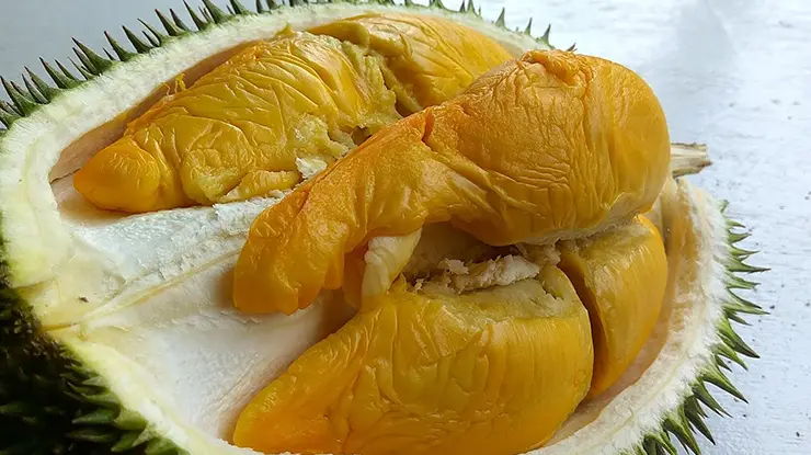 Harga Durian IOI