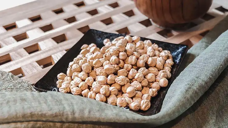 Harga Kacang Kuda