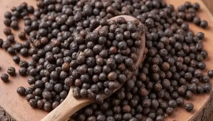 Harga Lada Hitam Terkini di Malaysia 2026