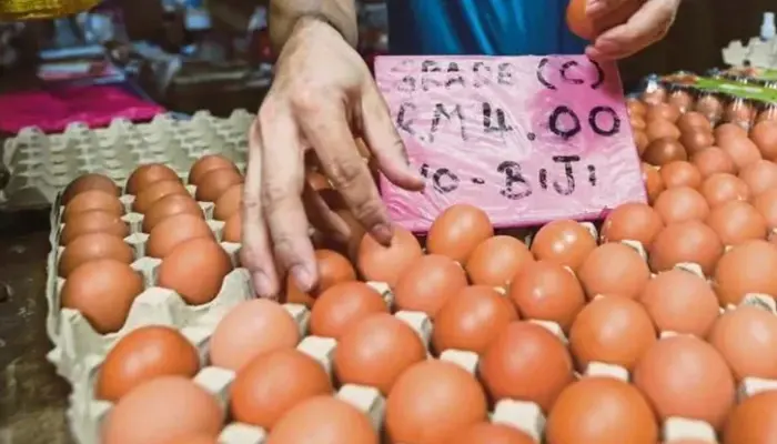 Harga Telur Gred C Terkini di Malaysia 2026