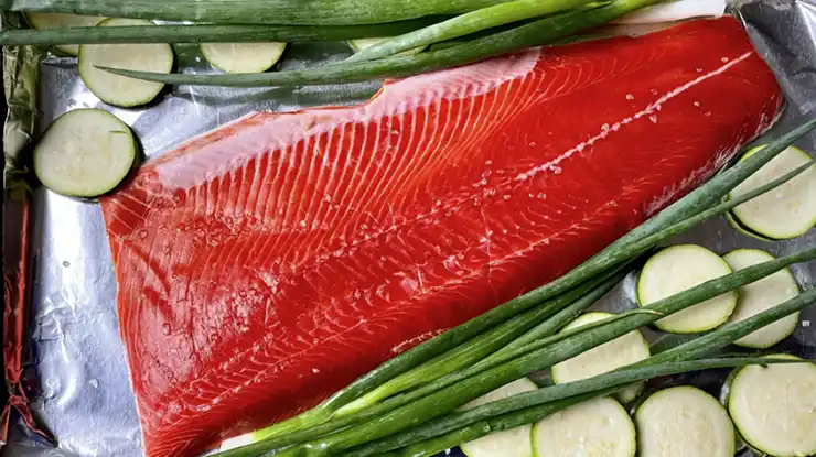 Keburukan Ikan Salmon