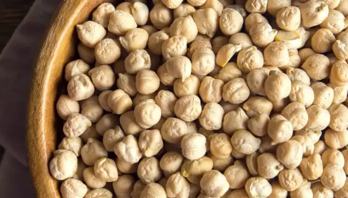 10 Keburukan Kacang Kuda, Penting untuk Tahu!