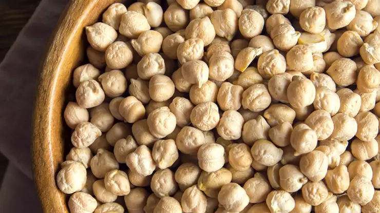 Keburukan Kacang Kuda