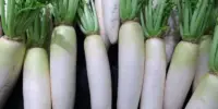 10 Keburukan Lobak Putih yang Perlu Diketahui