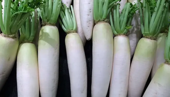 10 Keburukan Lobak Putih yang Perlu Diketahui