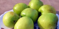 15 Senarai Khasiat Buah Bidara dan Nutrisi